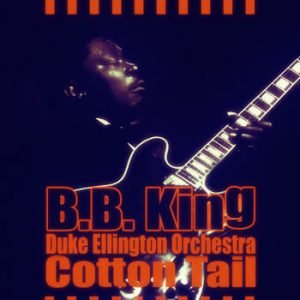 B.B. King - Cotton Tail