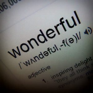 Inspiring Delight - Wonderful