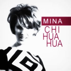Mina - Chihuahua