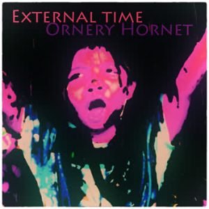 Ornery Hornet - External time