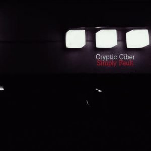 Simply Fault - Cryptic Ciber