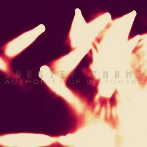 Substep Gnome - Authority Of Distorted