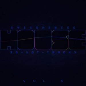 Various Artists - Awesomeness House Vol.5